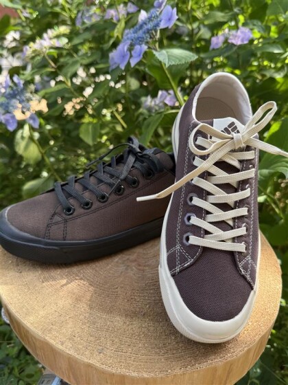 【🐸☔レインシューズの新色入荷‼️👟】