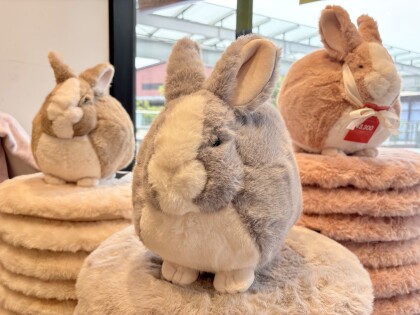 💛CLEARANCE SALE開催中💛🐰ラビットクッションにNEWカラーが登場🐰💗