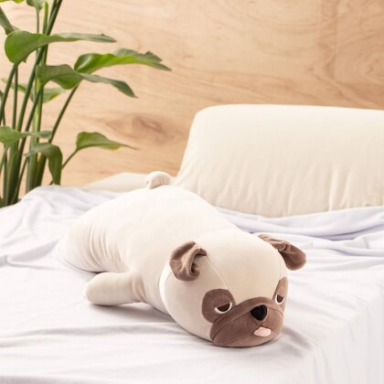 🌸期間限定🌸SPRING SALE🌸今年もやってきました❣️アニマルクールピロー🐶&抱き枕🦈🫧