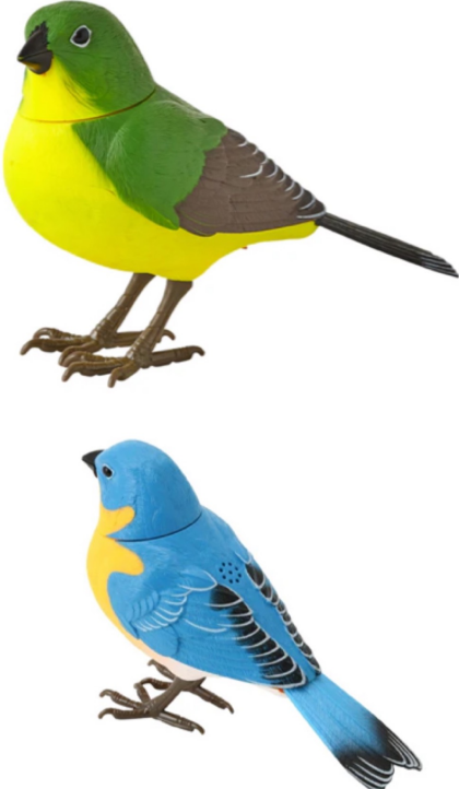 人気のミュージックバード新色入荷しました🦜
