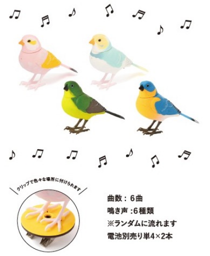 Xmas限定のミュージックバードが入荷しました🐥✨