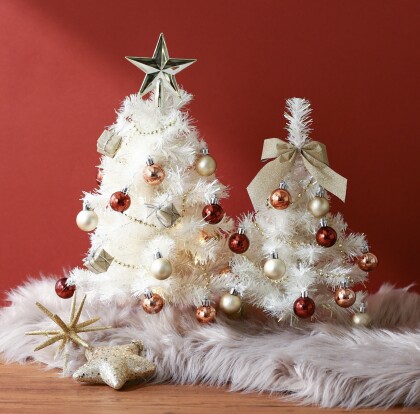 心ときめく💖クリスマスアイテムをご紹介🎅🏻🎄✨