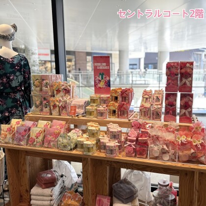 春のおすすめギフトをご紹介いたします🪄︎︎🌸
