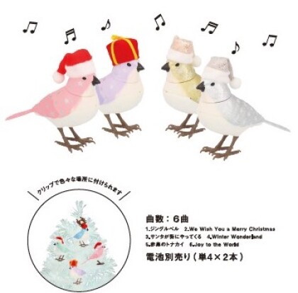 Xmas限定のミュージックバードが入荷しました🐥✨