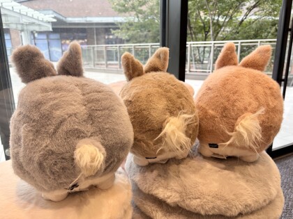 💛CLEARANCE SALE開催中💛🐰ラビットクッションにNEWカラーが登場🐰💗