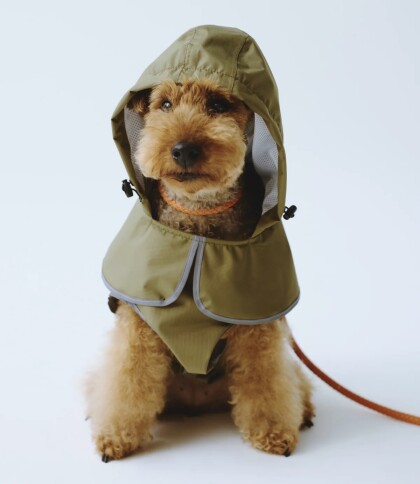 愛犬🐕愛猫🐈と過ごす時間をもっと大切に❤️ペット用品入荷しました🐾