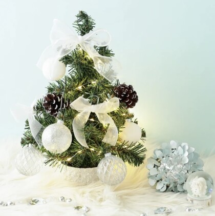 心ときめく💖クリスマスアイテムをご紹介🎅🏻🎄✨