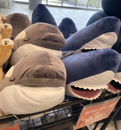 暑い季節の就寝時のリラックスタイムに🛌🌙ネムネムクール抱き枕🦈🧊