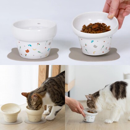 愛犬🐕愛猫🐈と過ごす時間をもっと大切に❤️ペット用品入荷しました🐾
