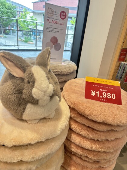 本日から期間限定SALEを開催しております🚩✨最大50%OFF‼️