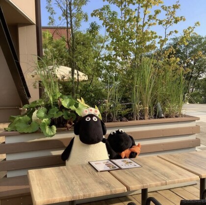 テラス席ワンちゃん大歓迎🐶🐑💓