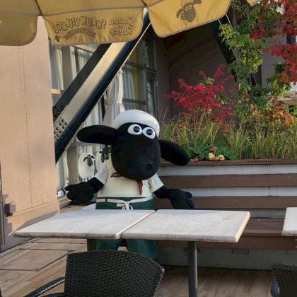 ひつじのショーンがやってくる🐏