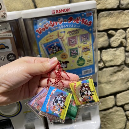 ショーンビレッジ🐑コラボガチャご紹介‼︎🐇🐿️💕