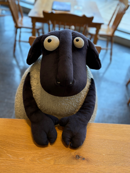 ひつじたちの紹介🐏🐏