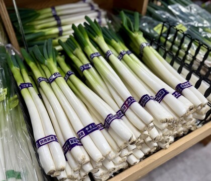 2月4日のおすすめ！自社農園生産『長ねぎ』