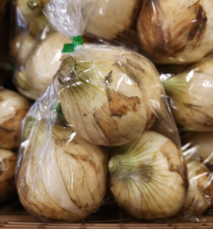 1月19日のおすすめ！『新たまねぎ』