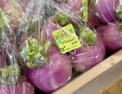 11月28日のおすすめ！群馬県産『あやめ雪かぶ』