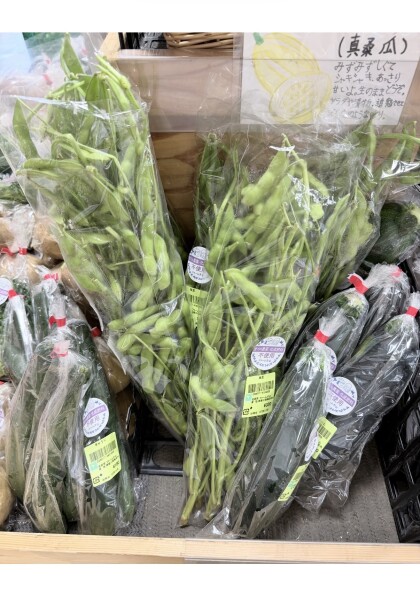 7月13日のおすすめ！ファーム片山さんの野菜