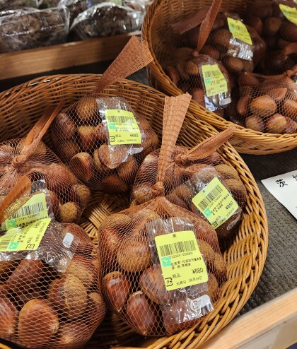 9月4日のおすすめ!今季初入荷🍂秋の味覚『栗』🌰