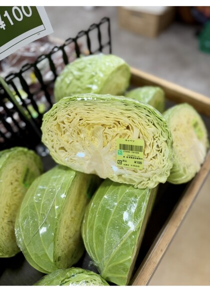 1月26日のおすすめ！群馬県産『キャベツ』