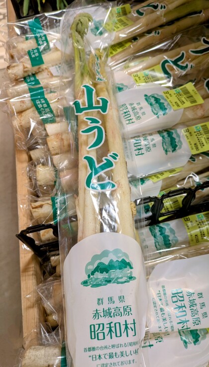 3月12日のおすすめ！『山うど』