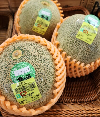 7月3日のおすすめ！本日食べごろ🍈千葉県産『タカミメロン』🍈