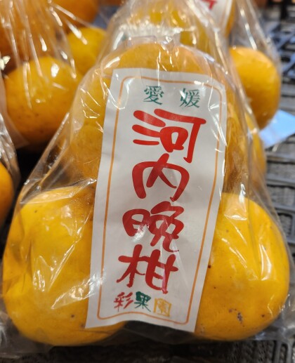 4月20日のおすすめ！『河内晩柑』