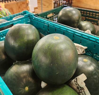 8月2日のおすすめ！山形県産🍉『ひとりじめ西瓜』🍉