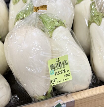 8月14日のおすすめ！古木農園生産の『白なす』