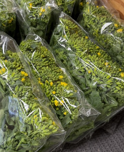 3月5日のおすすめ!横浜市産『菜花』