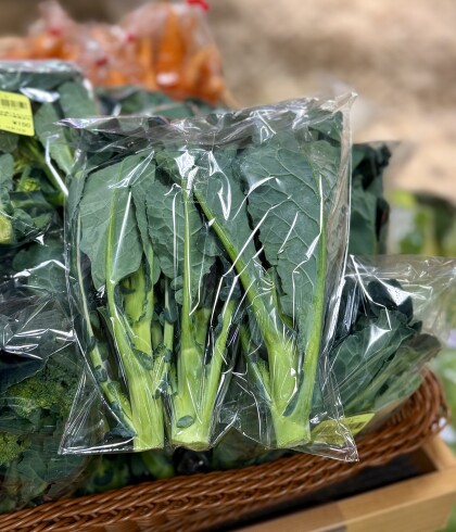12月16日のおすすめ!茎ブロッコリー『アレッタ』