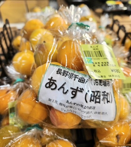 6月21日のおすすめ!あんず「昭和」