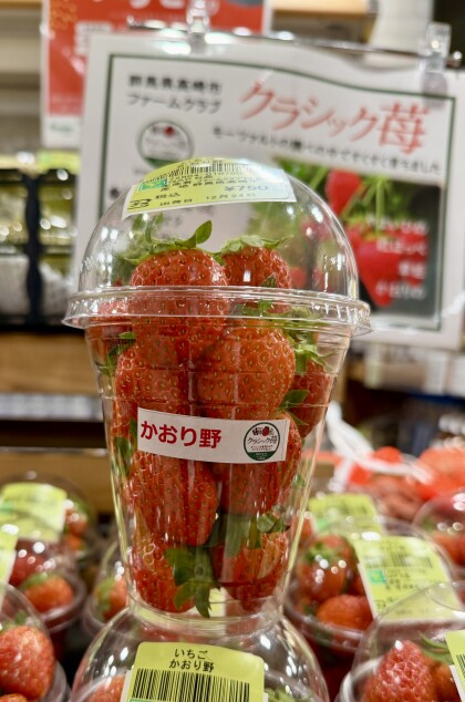 12月24日のおすすめ！クラシックいちご『かおり野』🍓