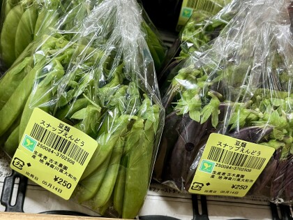 5月14日のおすすめ！古木農園の野菜