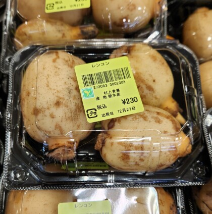 12月27日のおすすめ！『れんこん』
