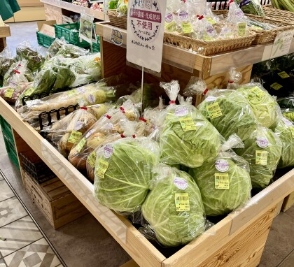 6月4日のおすすめ！ファーム片山さんの野菜