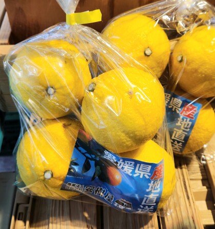 3月19日のおすすめ！柑橘『はるか』