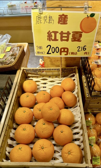 3月11日のおすすめ！『紅甘夏』