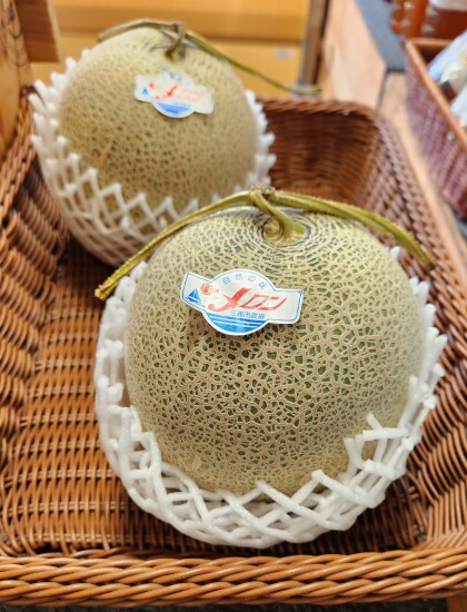 7月21日のおすすめ！🍈『三浦メロン』🍈