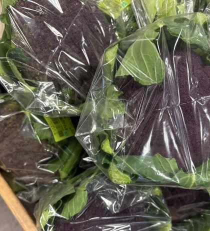 12月28日のおすすめ！『パープルカリフラワー』