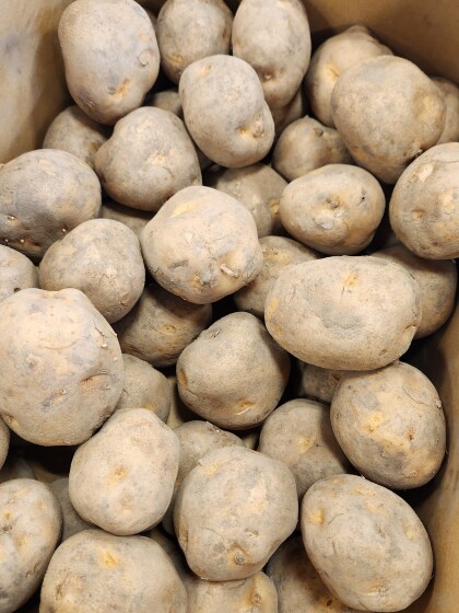 2月19日のおすすめ！北海道産 じゃが芋『男爵』