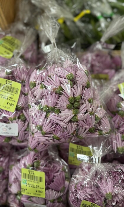 10月22日のおすすめ！『食用菊』