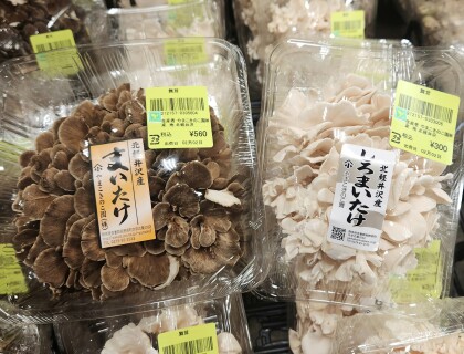 2月2日のおすすめ！やまこきのこ園『まいたけ』『しろまいたけ』