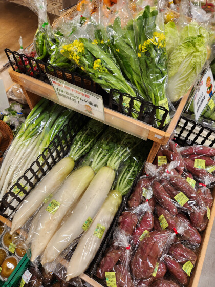 10月25日のおすすめ!古木農園さんの野菜