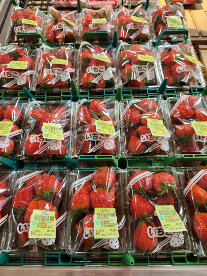4月3日のおすすめ！いちご『やよいひめ（訳あり品）』🍓