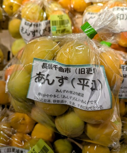 6月17日のおすすめ！あんず「平和」