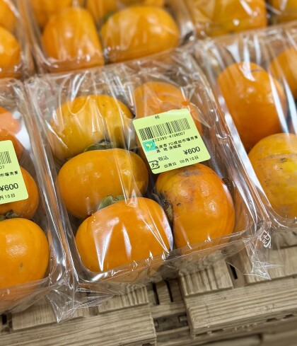 9月15日のおすすめ！茨城県産『柿』