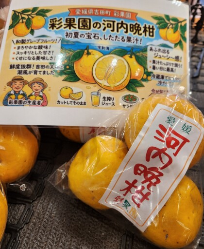 4月20日のおすすめ！『河内晩柑』