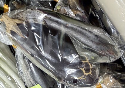 11月6日のおすすめ！『長津田産の新鮮野菜』