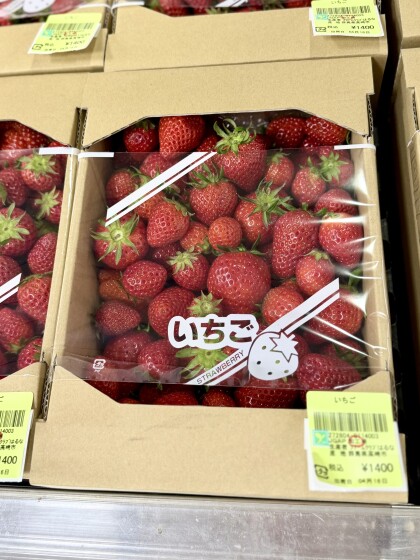 4月16日のおすすめ！『不揃いいちご』